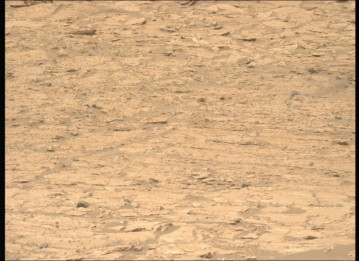 This image was taken by MCZ_LEFT onboard NASA's Mars rover Perseverance on Sol 1178