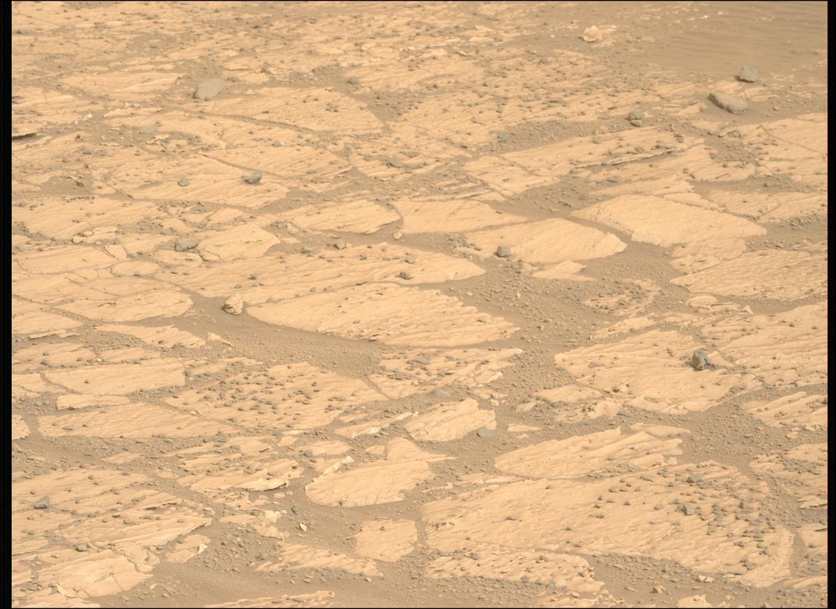 This image was taken by MCZ_LEFT onboard NASA's Mars rover Perseverance on Sol 1178