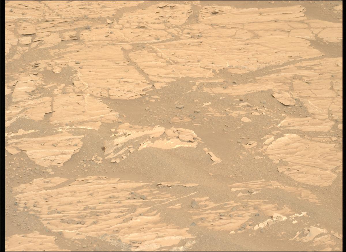This image was taken by MCZ_LEFT onboard NASA's Mars rover Perseverance on Sol 1178