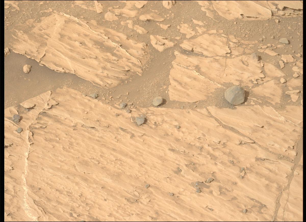 This image was taken by MCZ_LEFT onboard NASA's Mars rover Perseverance on Sol 1178