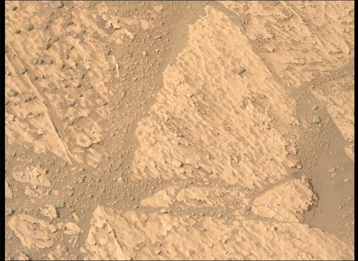This image was taken by MCZ_LEFT onboard NASA's Mars rover Perseverance on Sol 1178