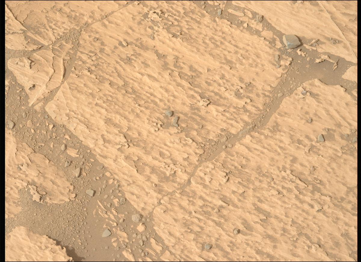 This image was taken by MCZ_LEFT onboard NASA's Mars rover Perseverance on Sol 1178