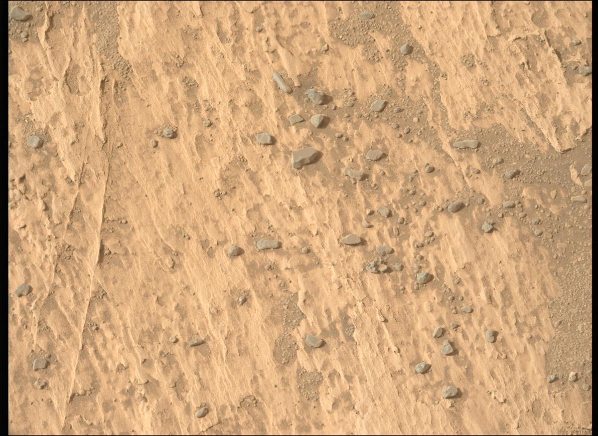 This image was taken by MCZ_LEFT onboard NASA's Mars rover Perseverance on Sol 1178