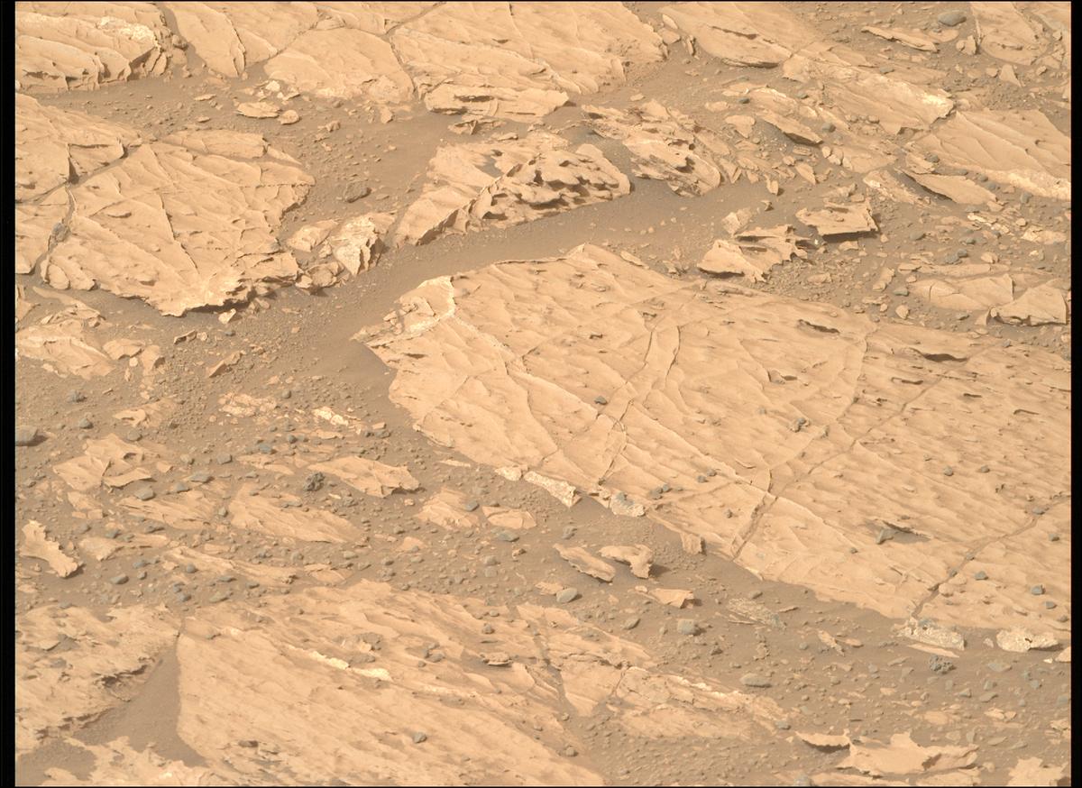 This image was taken by MCZ_RIGHT onboard NASA's Mars rover Perseverance on Sol 1178