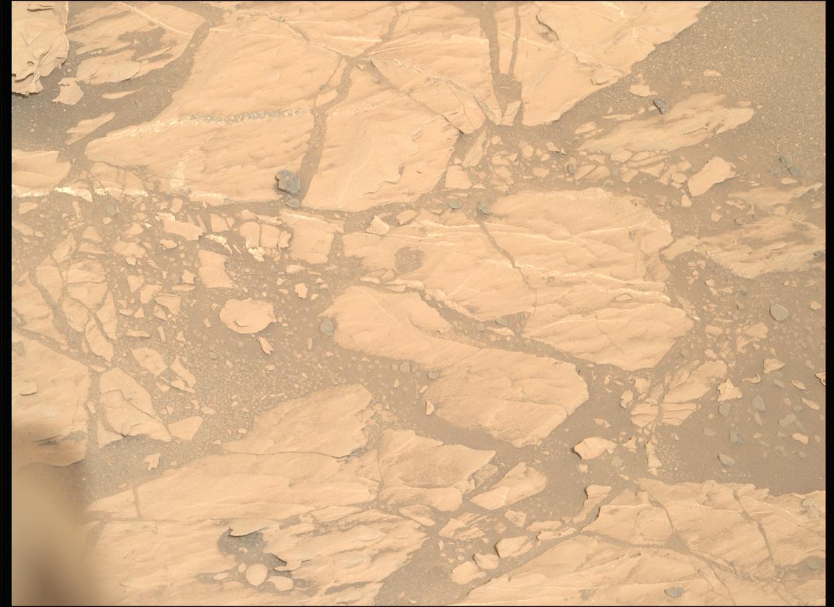 This image was taken by MCZ_RIGHT onboard NASA's Mars rover Perseverance on Sol 1178