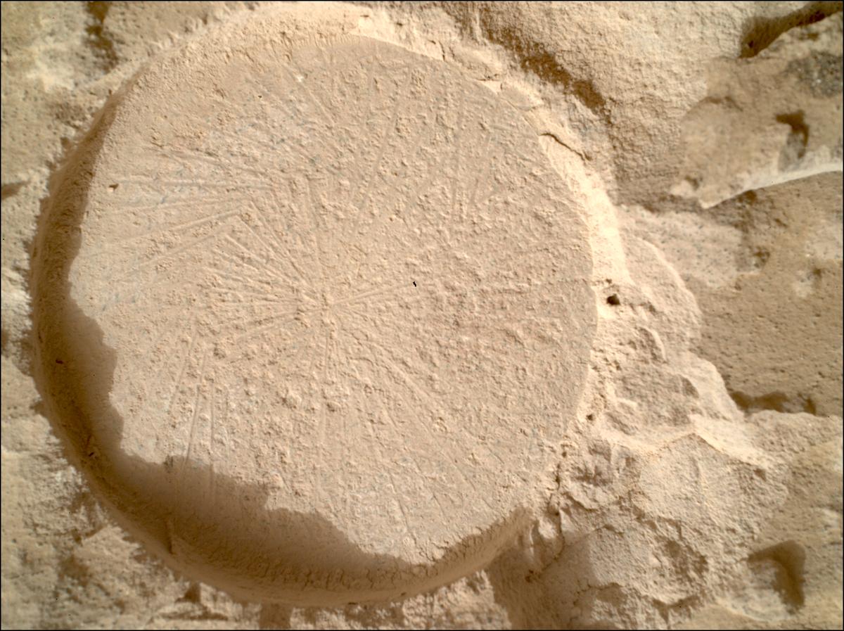 This image was taken by SHERLOC_WATSON onboard NASA's Mars rover Perseverance on Sol 1179