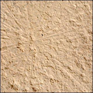 View image taken on Mars, Mars Perseverance Sol 1179: WATSON Camera 