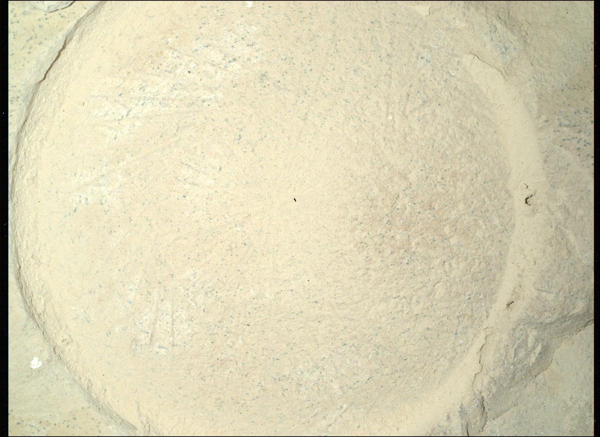 This image was taken by SHERLOC_WATSON onboard NASA's Mars rover Perseverance on Sol 1179