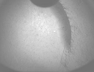 View image taken on Mars, Mars Perseverance Sol 1180: PIXL Camera 