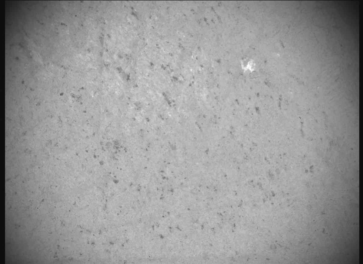 This image was taken by SHERLOC_ACI onboard NASA's Mars rover Perseverance on Sol 1180