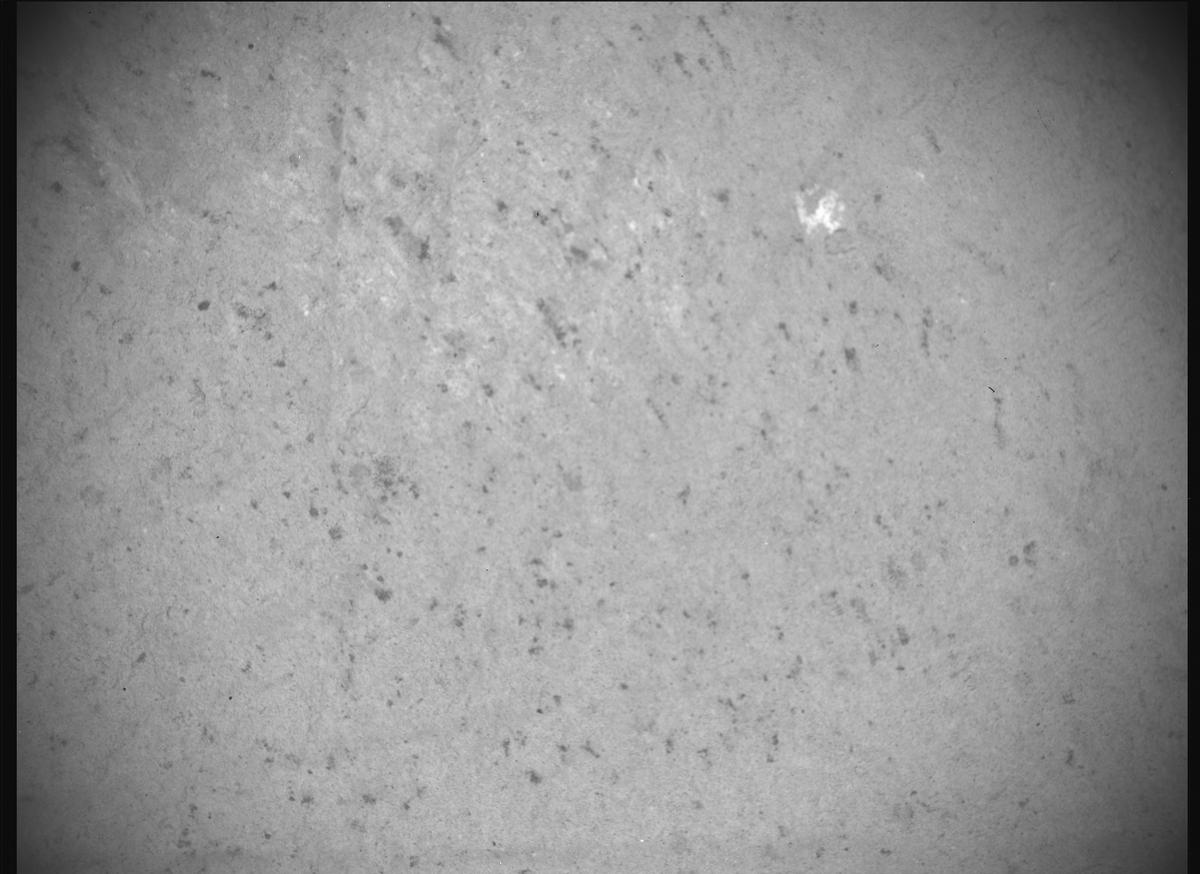 This image was taken by SHERLOC_ACI onboard NASA's Mars rover Perseverance on Sol 1180