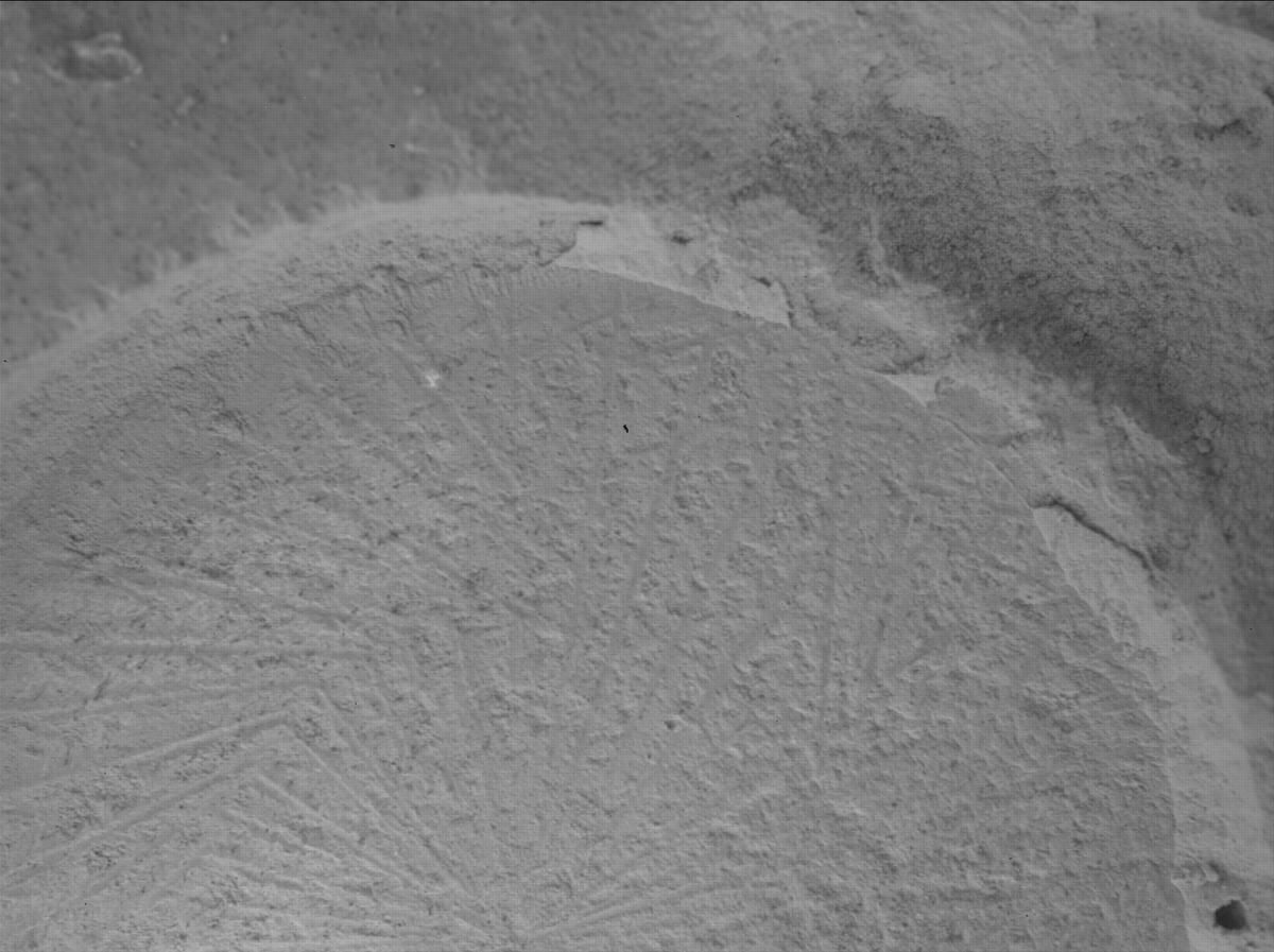 This image was taken by SHERLOC_WATSON onboard NASA's Mars rover Perseverance on Sol 1180