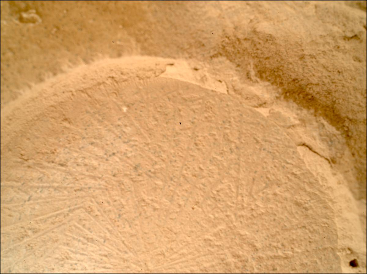 This image was taken by SHERLOC_WATSON onboard NASA's Mars rover Perseverance on Sol 1180