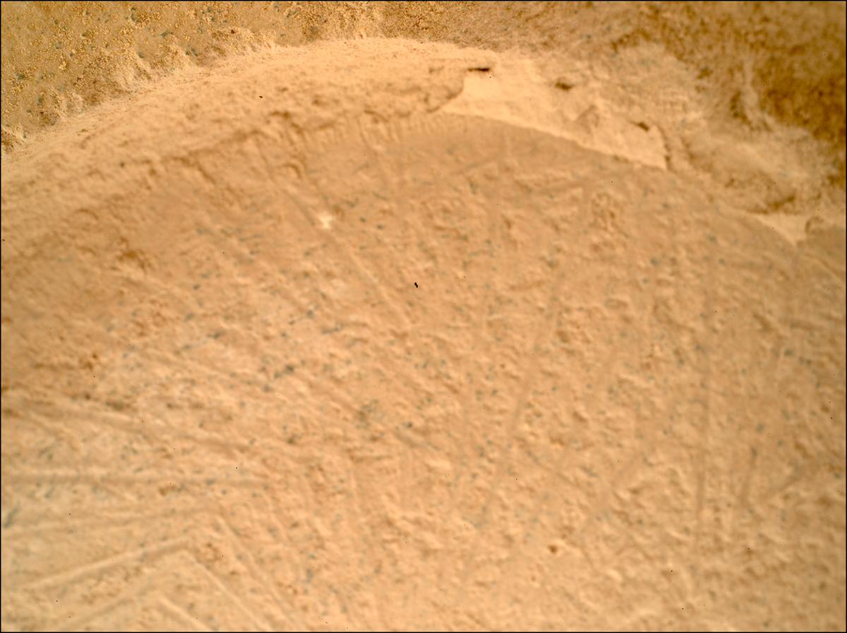 This image was taken by SHERLOC_WATSON onboard NASA's Mars rover Perseverance on Sol 1180