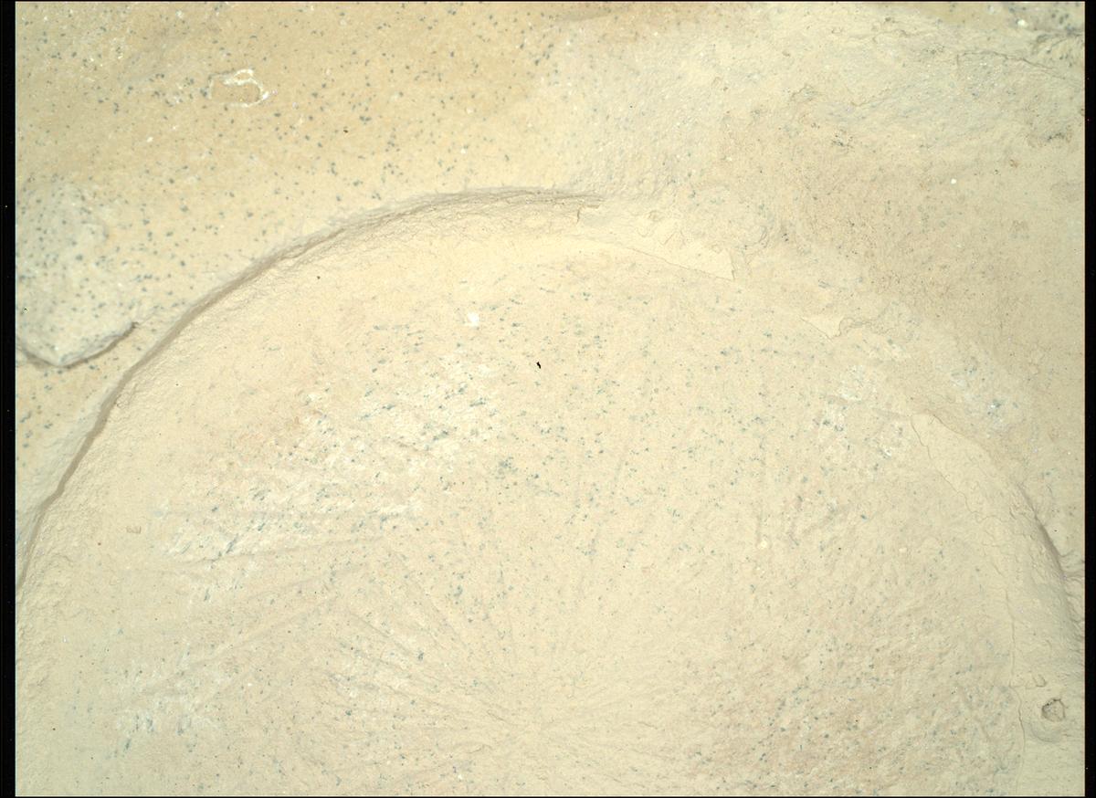 This image was taken by SHERLOC_WATSON onboard NASA's Mars rover Perseverance on Sol 1180
