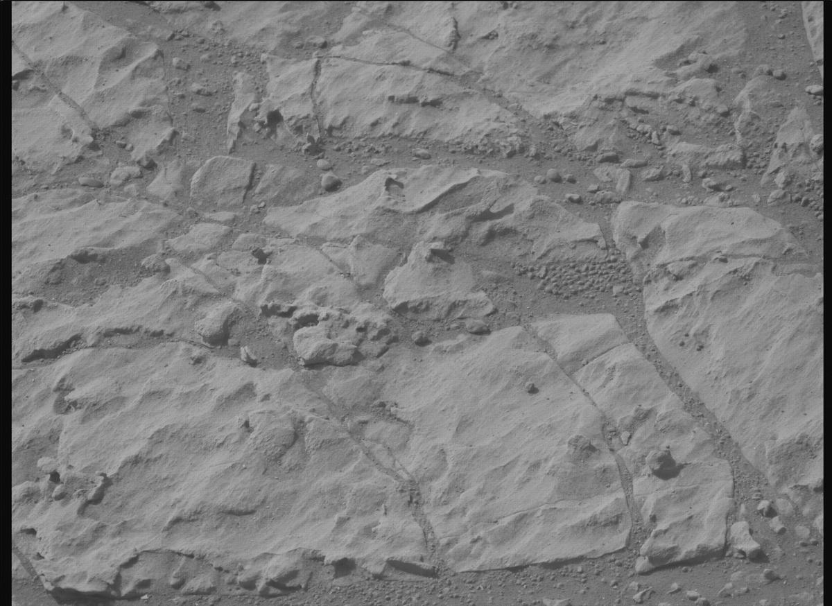 This image was taken by MCZ_LEFT onboard NASA's Mars rover Perseverance on Sol 1180