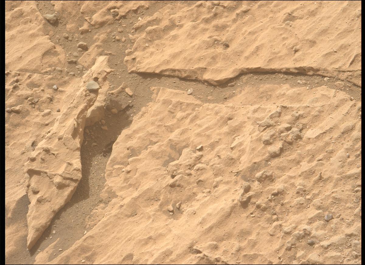 This image was taken by MCZ_LEFT onboard NASA's Mars rover Perseverance on Sol 1180