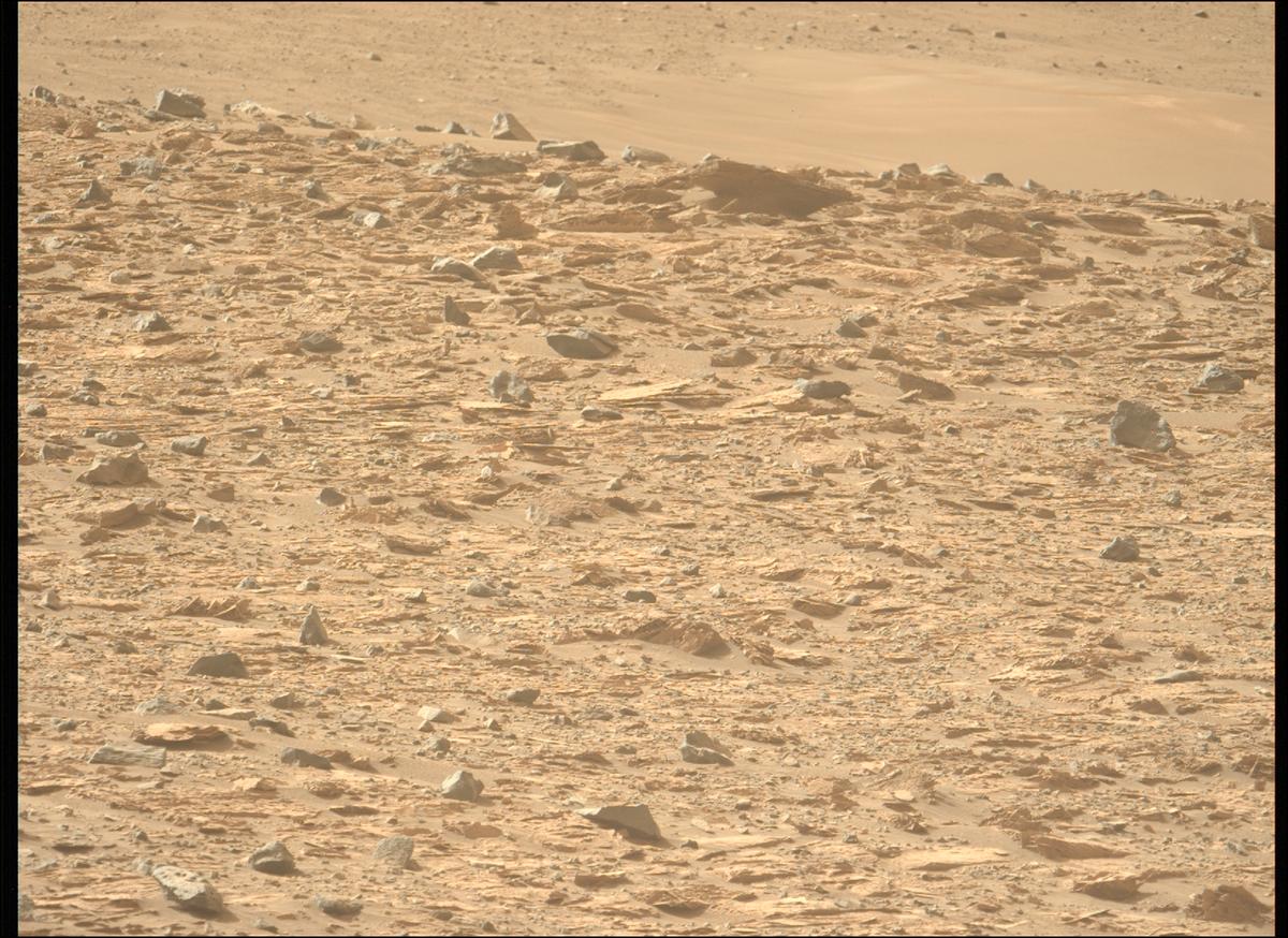 This image was taken by MCZ_LEFT onboard NASA's Mars rover Perseverance on Sol 1181