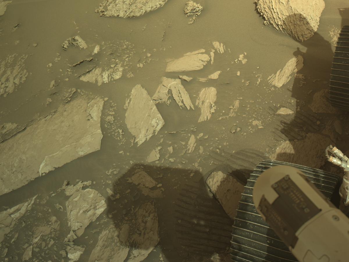 This image was taken by NAVCAM_LEFT onboard NASA's Mars rover Perseverance on Sol 1182