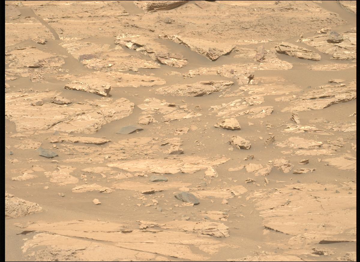 This image was taken by MCZ_LEFT onboard NASA's Mars rover Perseverance on Sol 1182