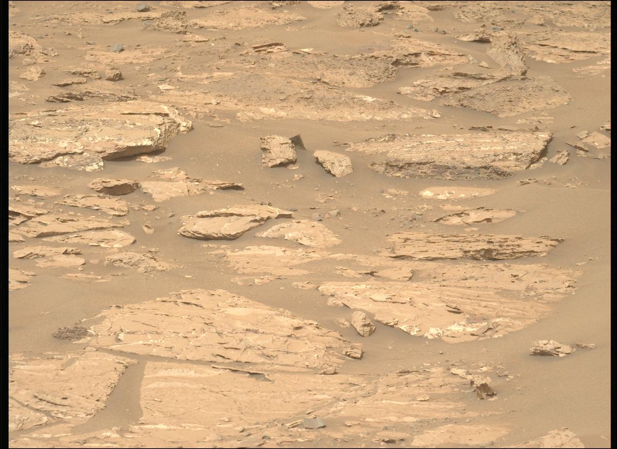This image was taken by MCZ_LEFT onboard NASA's Mars rover Perseverance on Sol 1182