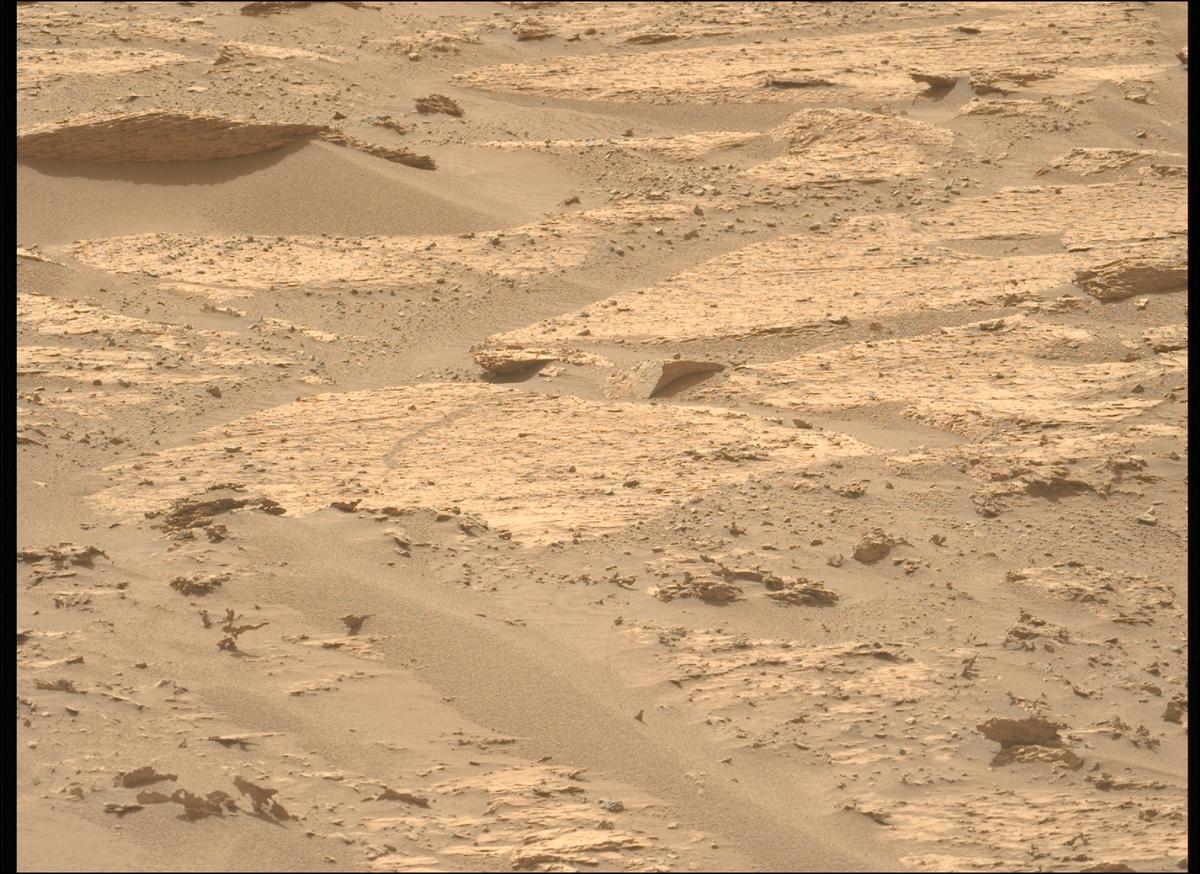 This image was taken by MCZ_LEFT onboard NASA's Mars rover Perseverance on Sol 1183