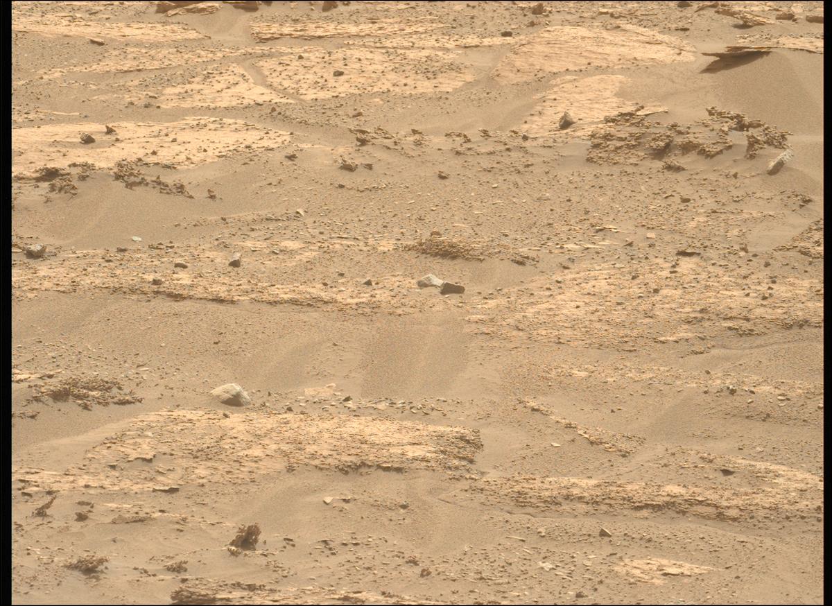 This image was taken by MCZ_LEFT onboard NASA's Mars rover Perseverance on Sol 1183