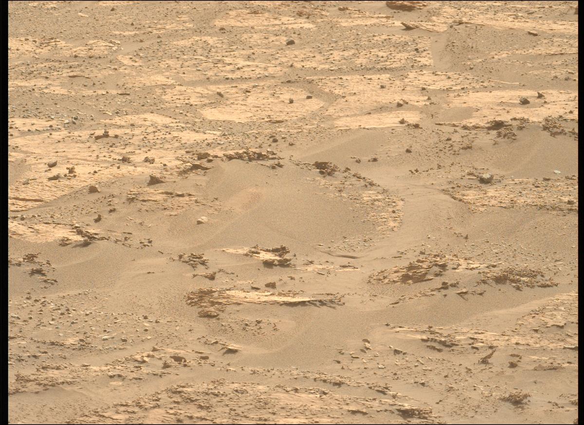 This image was taken by MCZ_LEFT onboard NASA's Mars rover Perseverance on Sol 1183
