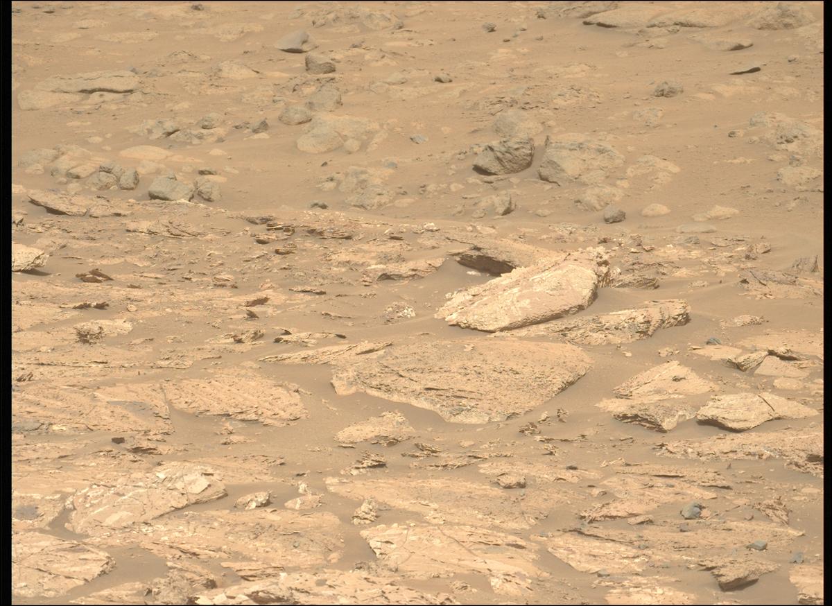 This image was taken by MCZ_LEFT onboard NASA's Mars rover Perseverance on Sol 1183