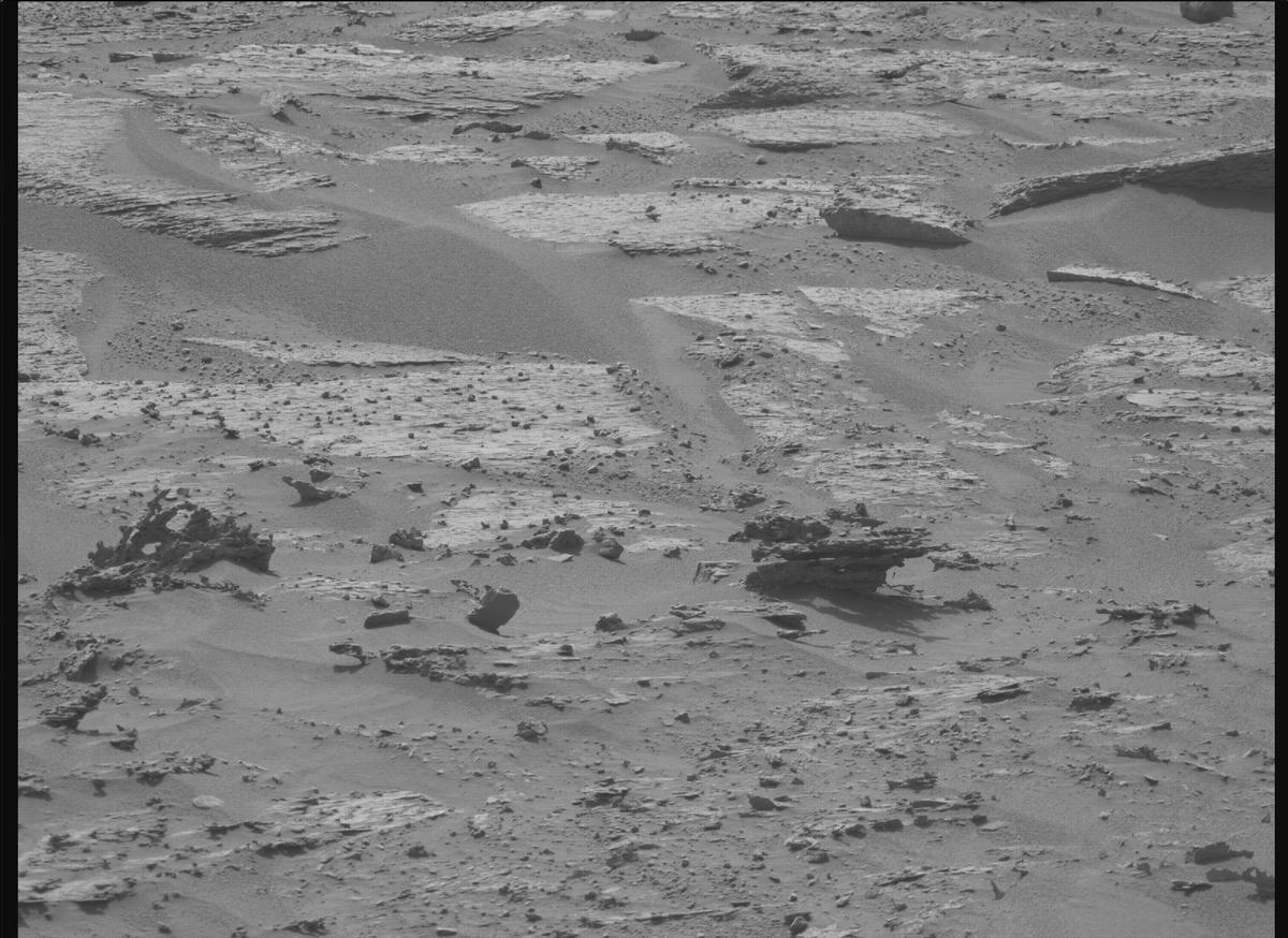 This image was taken by MCZ_RIGHT onboard NASA's Mars rover Perseverance on Sol 1183