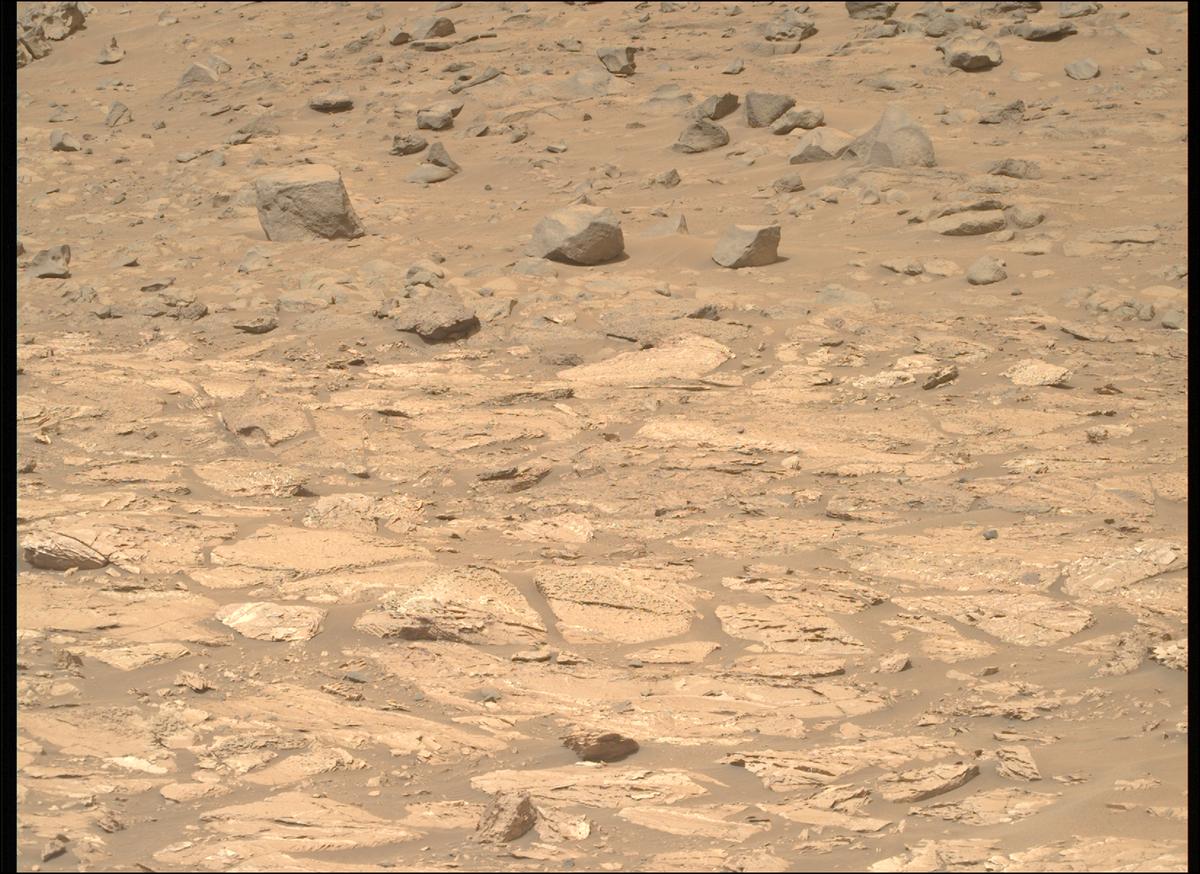 This image was taken by MCZ_RIGHT onboard NASA's Mars rover Perseverance on Sol 1183