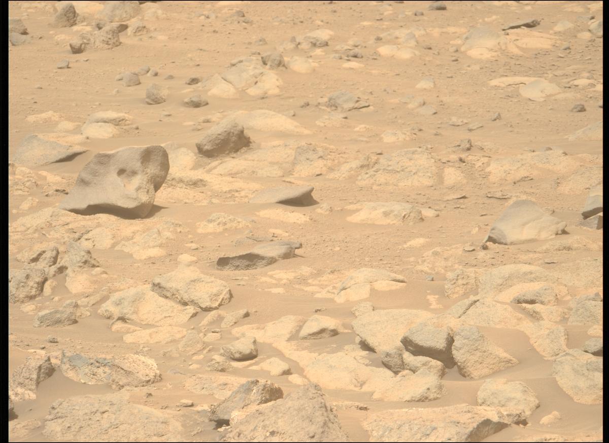 This image was taken by MCZ_LEFT onboard NASA's Mars rover Perseverance on Sol 1184