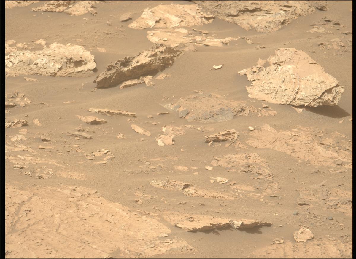 This image was taken by MCZ_LEFT onboard NASA's Mars rover Perseverance on Sol 1184