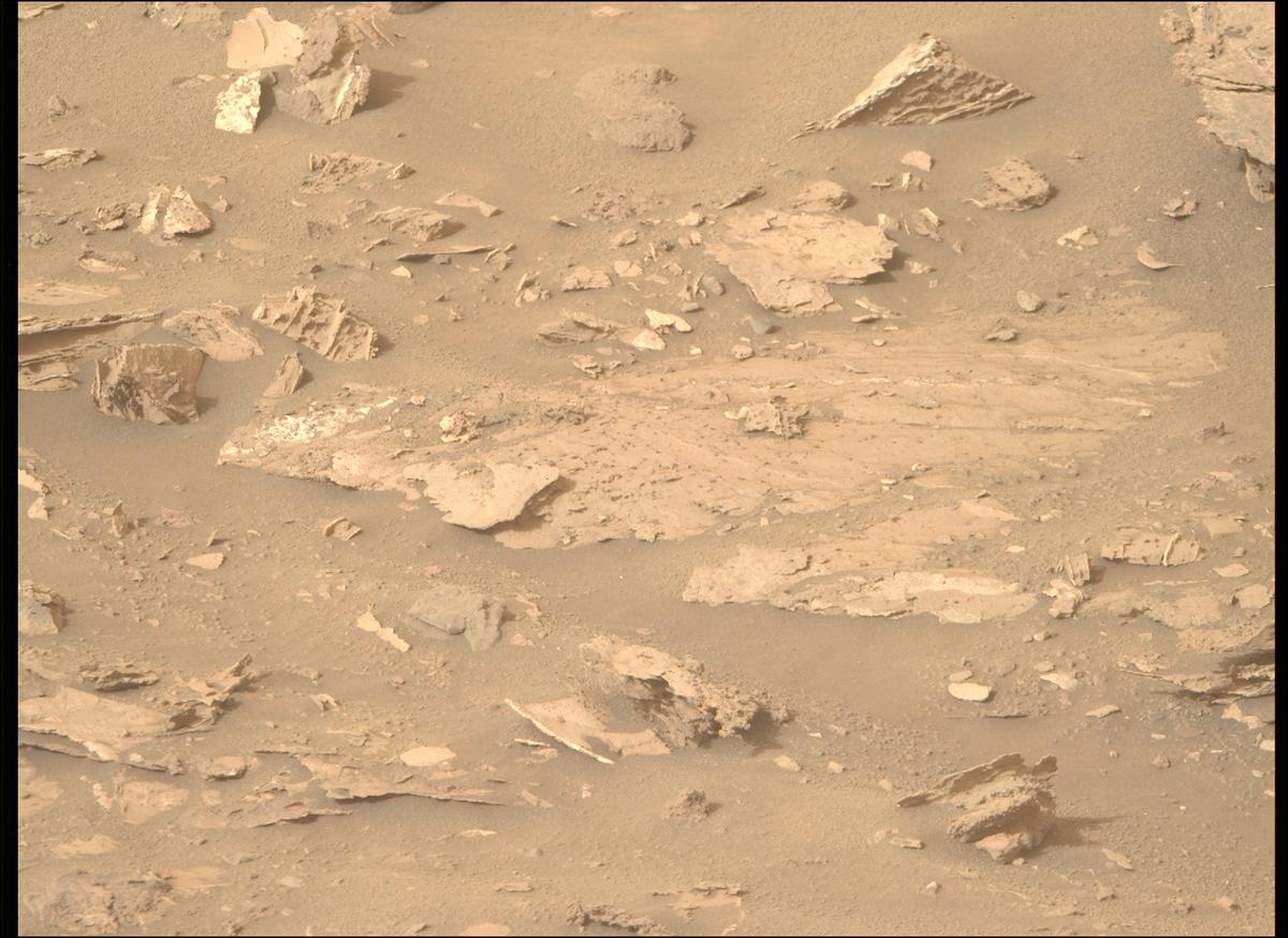 This image was taken by MCZ_RIGHT onboard NASA's Mars rover Perseverance on Sol 1184