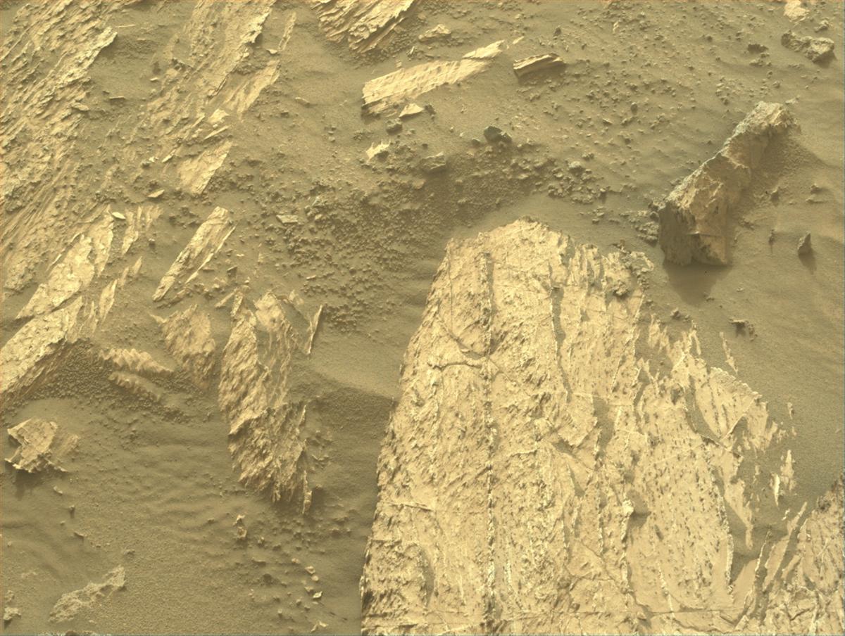 This image was taken by NAVCAM_RIGHT onboard NASA's Mars rover Perseverance on Sol 1188