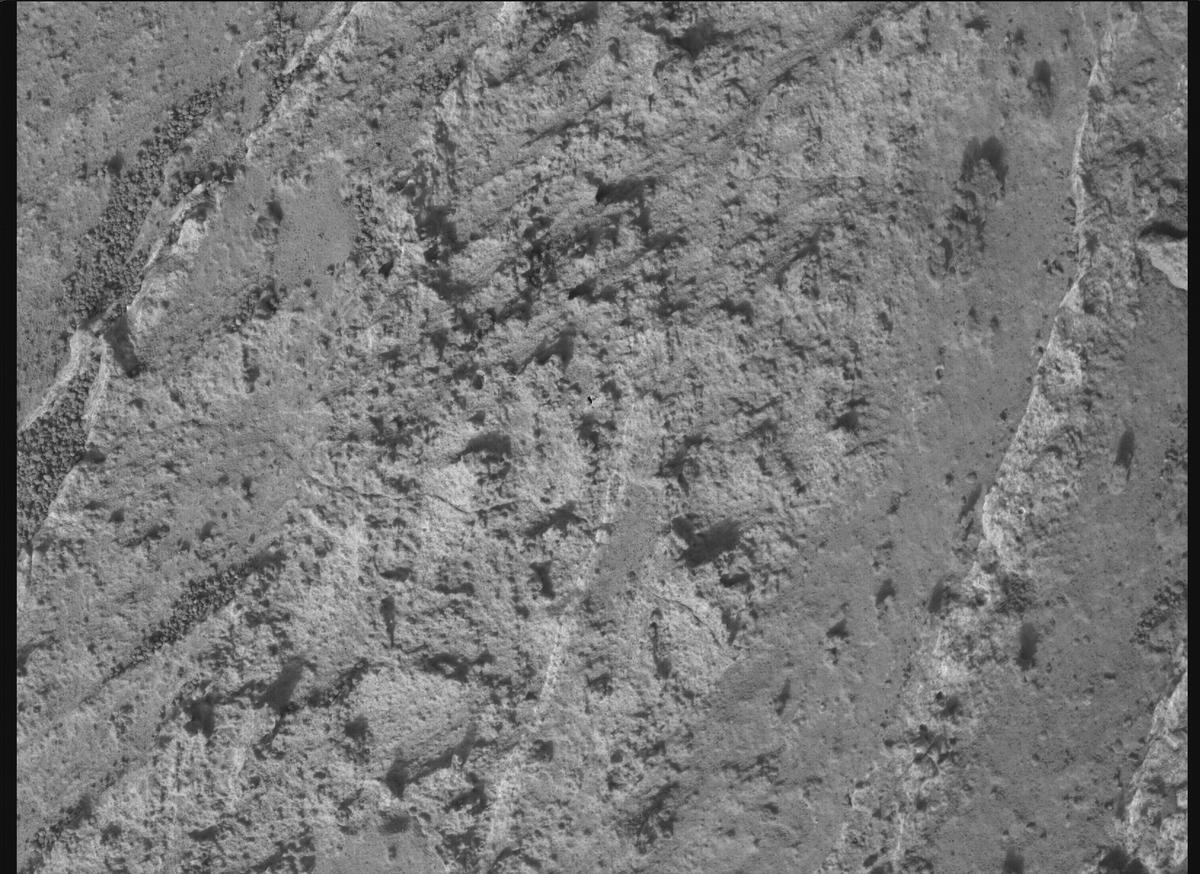 This image was taken by SHERLOC_WATSON onboard NASA's Mars rover Perseverance on Sol 1188