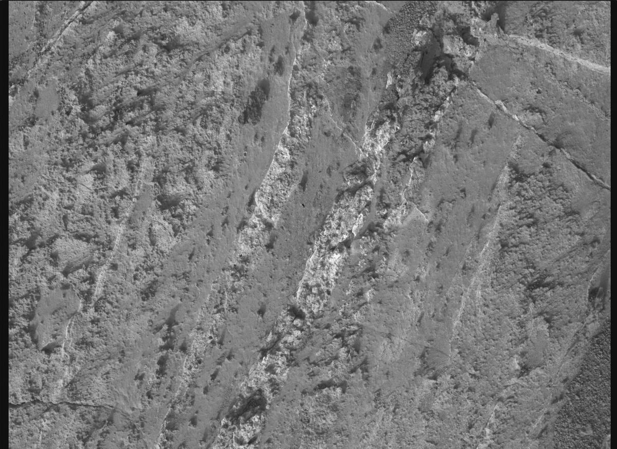 This image was taken by SHERLOC_WATSON onboard NASA's Mars rover Perseverance on Sol 1188