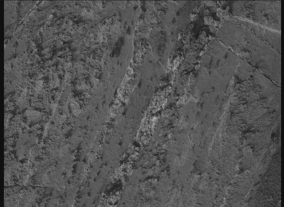 This image was taken by SHERLOC_WATSON onboard NASA's Mars rover Perseverance on Sol 1188