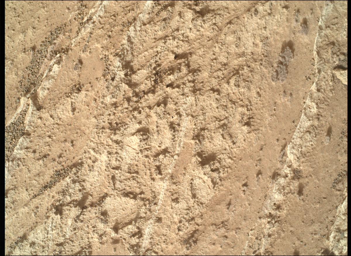 This image was taken by SHERLOC_WATSON onboard NASA's Mars rover Perseverance on Sol 1188