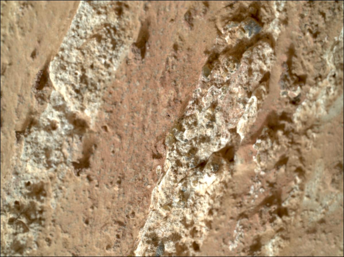 This image was taken by SHERLOC_WATSON onboard NASA's Mars rover Perseverance on Sol 1188