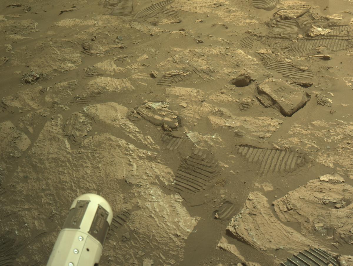 This image was taken by NAVCAM_RIGHT onboard NASA's Mars rover Perseverance on Sol 1189