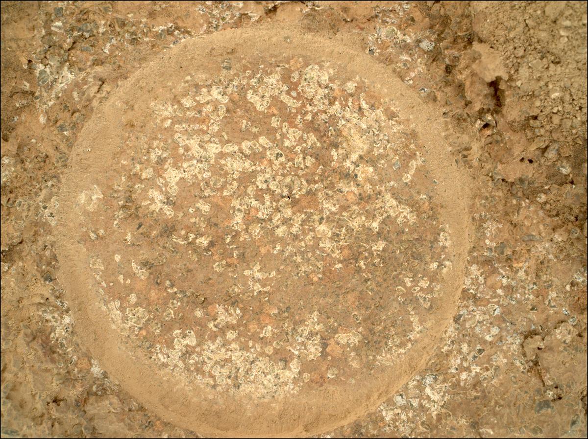 This image was taken by SHERLOC_WATSON onboard NASA's Mars rover Perseverance on Sol 1191