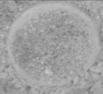 This image was taken by MCZ_RIGHT onboard NASA's Mars rover Perseverance on Sol 1192