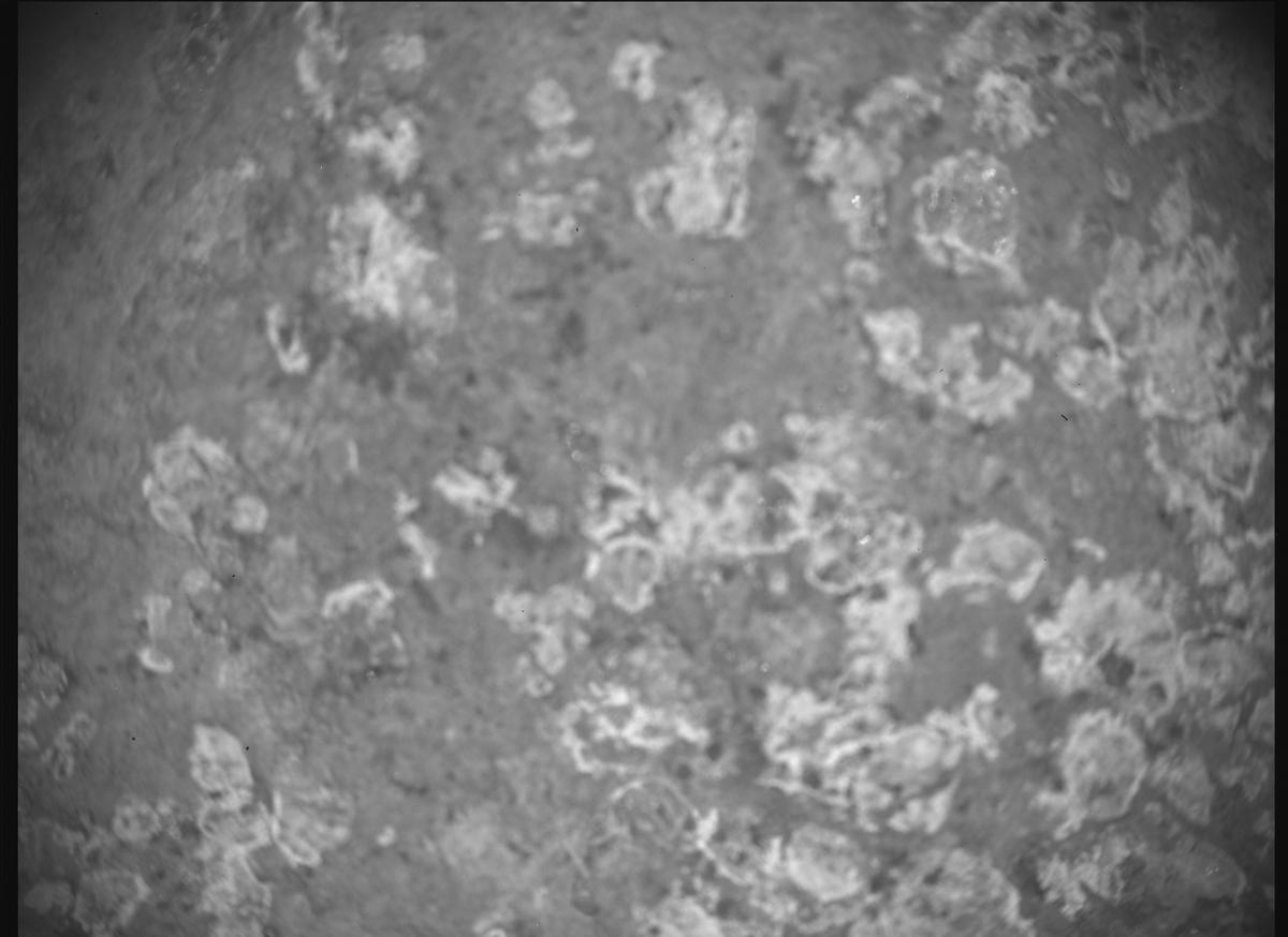 This image was taken by SHERLOC_ACI onboard NASA's Mars rover Perseverance on Sol 1193