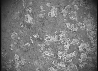 View image taken on Mars, Mars Perseverance Sol 1193: SHERLOC ACI Camera 