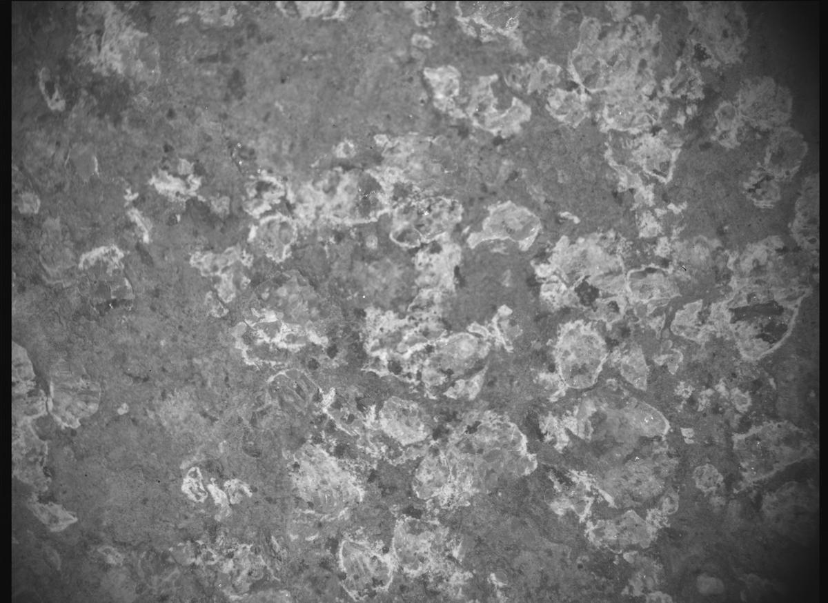 This image was taken by SHERLOC_ACI onboard NASA's Mars rover Perseverance on Sol 1193