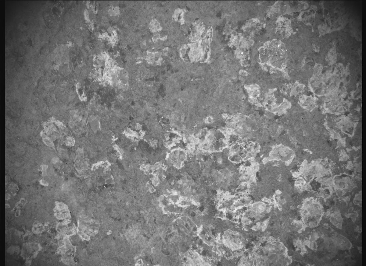 This image was taken by SHERLOC_ACI onboard NASA's Mars rover Perseverance on Sol 1193