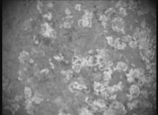 View image taken on Mars, Mars Perseverance Sol 1193: SHERLOC ACI Camera 