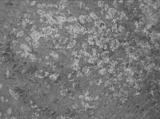 View image taken on Mars, Mars Perseverance Sol 1193: WATSON Camera 