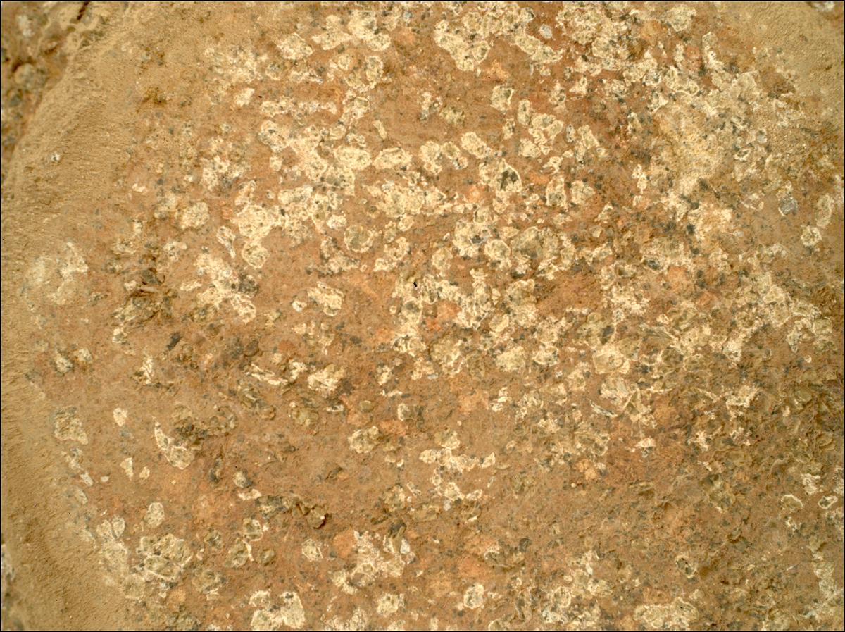This image was taken by SHERLOC_WATSON onboard NASA's Mars rover Perseverance on Sol 1193
